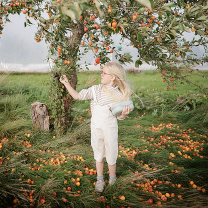 Boîte à lunch pour enfants en forme de champignon